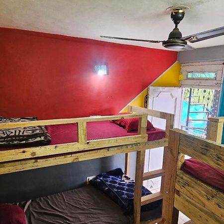 Shanti Cafe & Hostels كاسول المظهر الخارجي الصورة